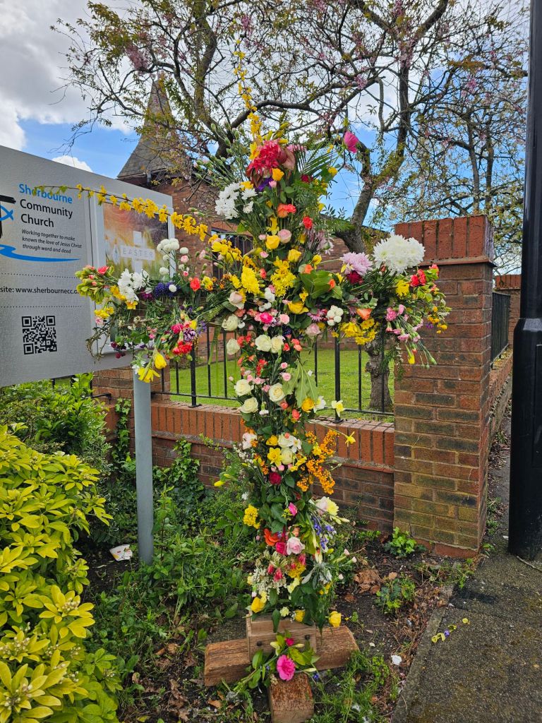 20260405_125233394914689498727522